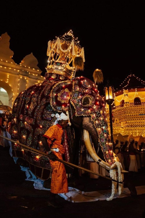 Gruhaya Boutique Villa image 11